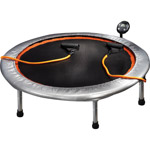 Gold's Gym Circuit Trainer 36" Mini Trampoline