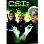 CSI: Crime Scene Investigation - The Thirteenth Season (Widescreen)