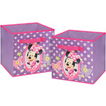 Your Choice Disney and Nickelodeon 2-Pack Storage Cube