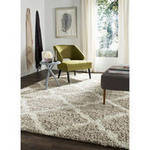 Safavieh Daley 8' x 10' Power-Loomed Shag Area Rug