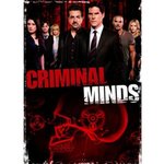 Criminal Minds: The Eighth Season (Widescreen)